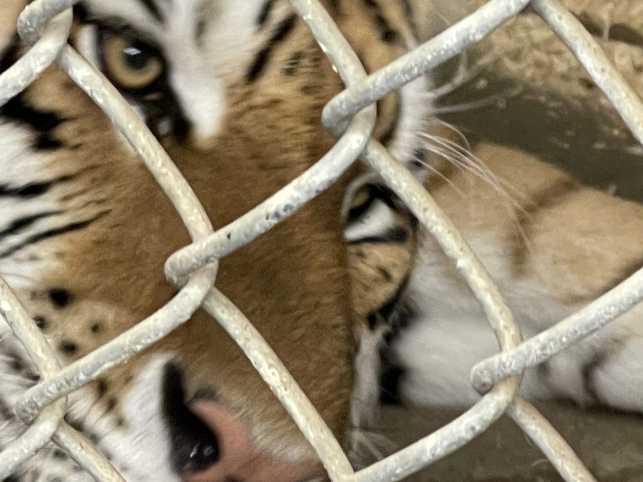 Vivre ses rêves d'enfance- Autonomisation vs Imposition