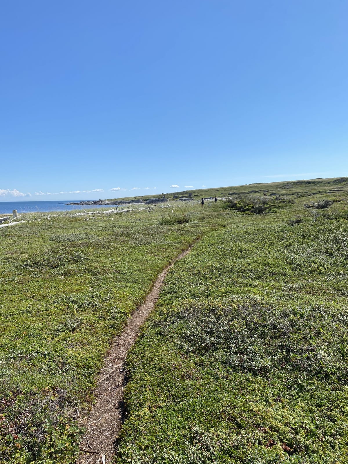 Réflexion du bout de la route de la Cote Nord