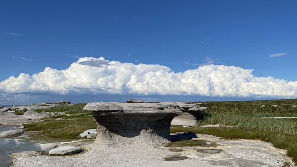 Les géants de la contemplation