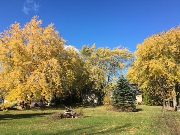 L'Acadie, Québec, Canada- La Saison des couleurs !
